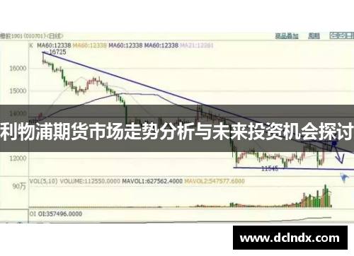 利物浦期货市场走势分析与未来投资机会探讨