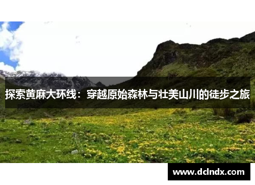 探索黄麻大环线：穿越原始森林与壮美山川的徒步之旅